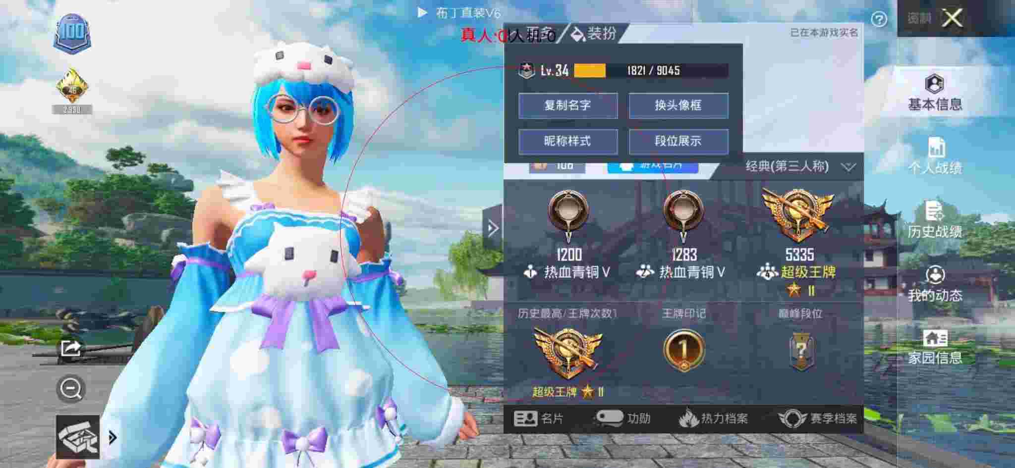 和平精英布丁直装透视 - 和平精英 皮肤软件辅助预览图